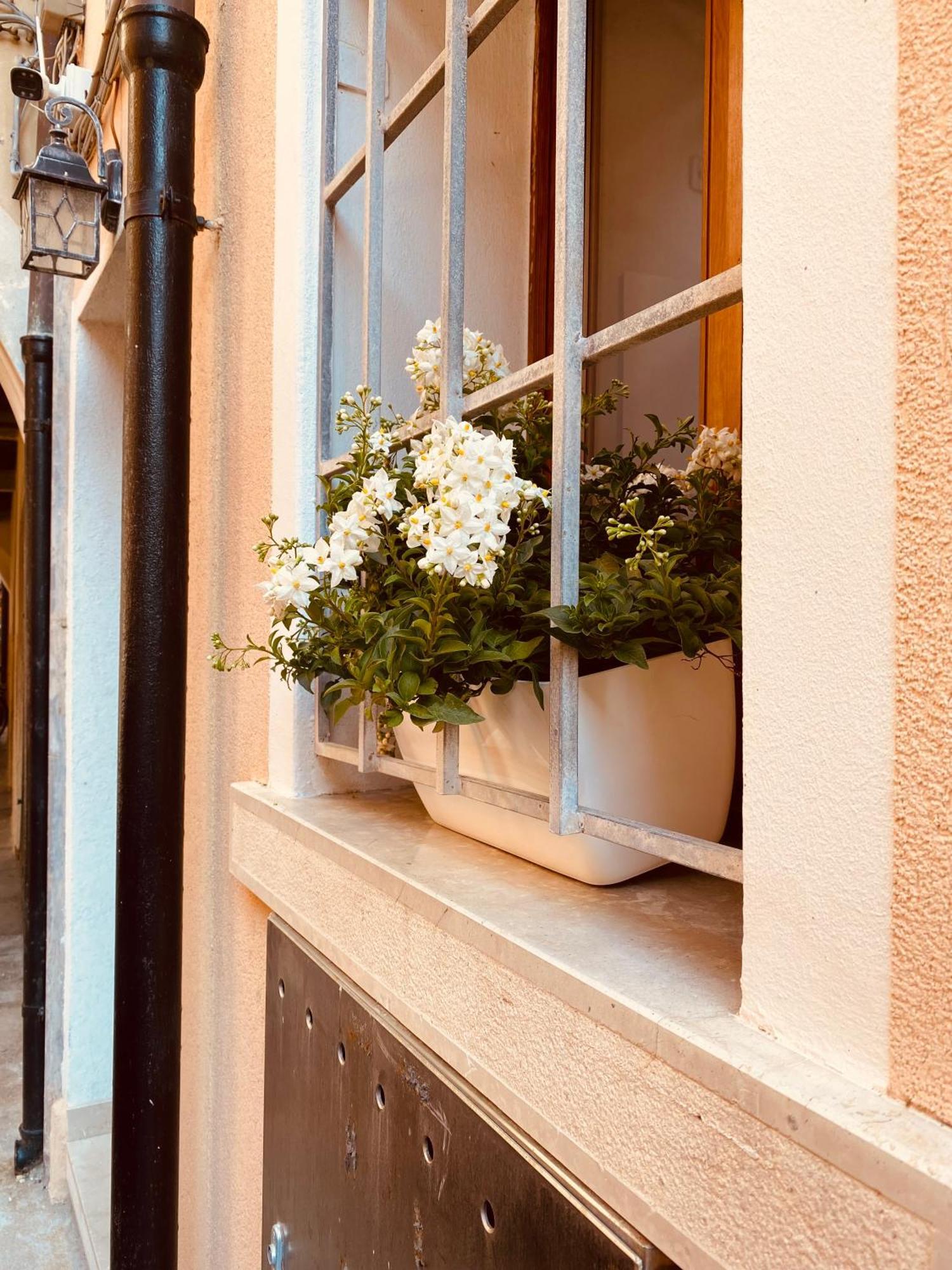 Casabella Chioggia Casa Indipendente Con Corte Luaran gambar